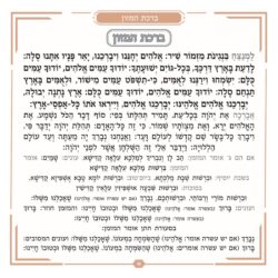 עמוד דוגמא - זמירות שבת