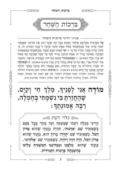 עמוד דוגמא - סידור