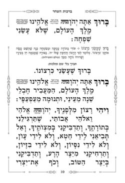 עמוד דוגמא - סידור