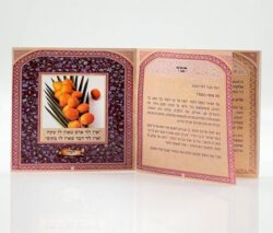 ⁦סדר טו בשבט⁩ – תמונה ⁦7⁩