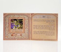 ⁦סדר טו בשבט⁩ – תמונה ⁦8⁩